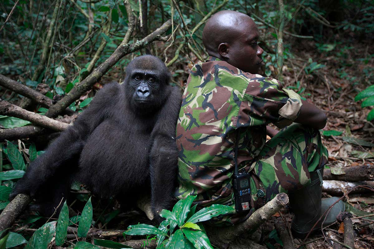 New Scientist. Science news and long reads from expert journalists, covering developments in science, technology, health and the environment on the website and the magazine.