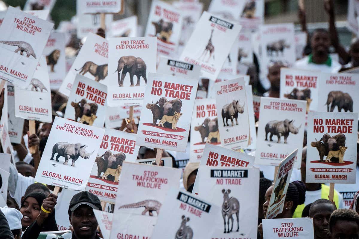 New Scientist. Science news and long reads from expert journalists, covering developments in science, technology, health and the environment on the website and the magazine.