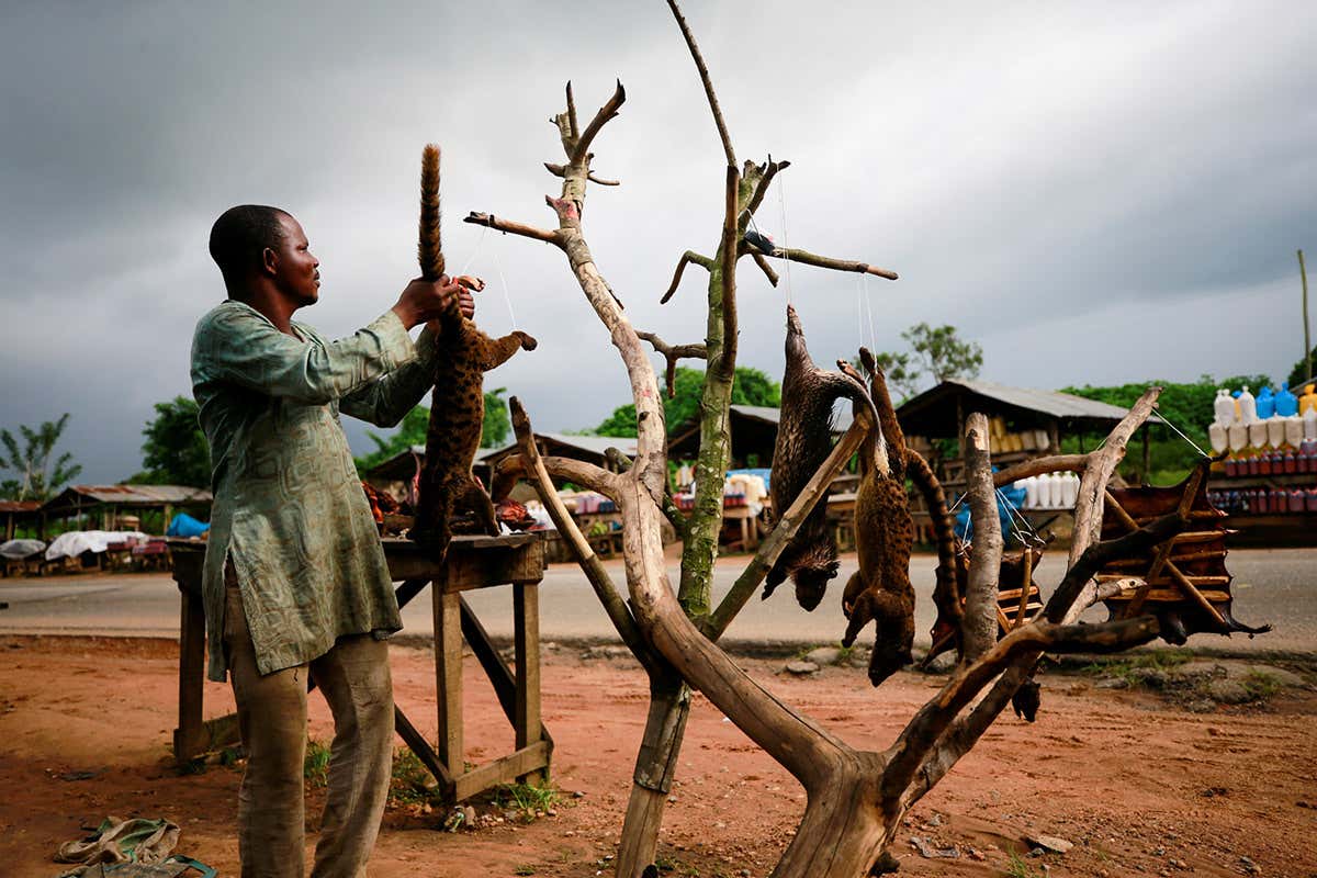 New Scientist. Science news and long reads from expert journalists, covering developments in science, technology, health and the environment on the website and the magazine.