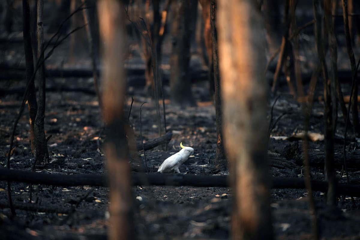 New Scientist. Science news and long reads from expert journalists, covering developments in science, technology, health and the environment on the website and the magazine.