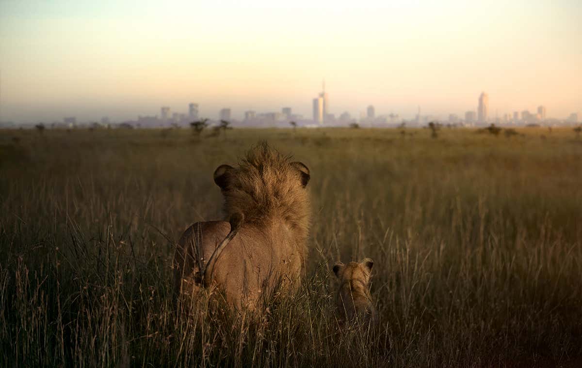 New Scientist. Science news and long reads from expert journalists, covering developments in science, technology, health and the environment on the website and the magazine.