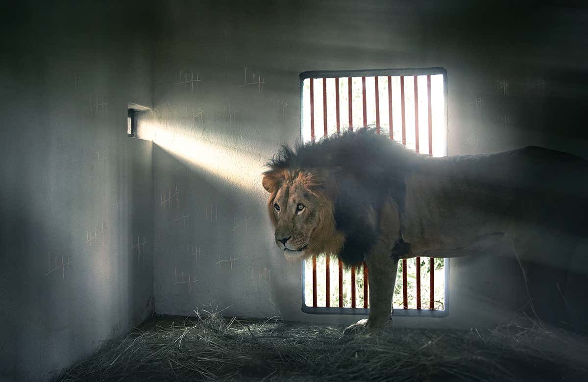 New Scientist. Science news and long reads from expert journalists, covering developments in science, technology, health and the environment on the website and the magazine.