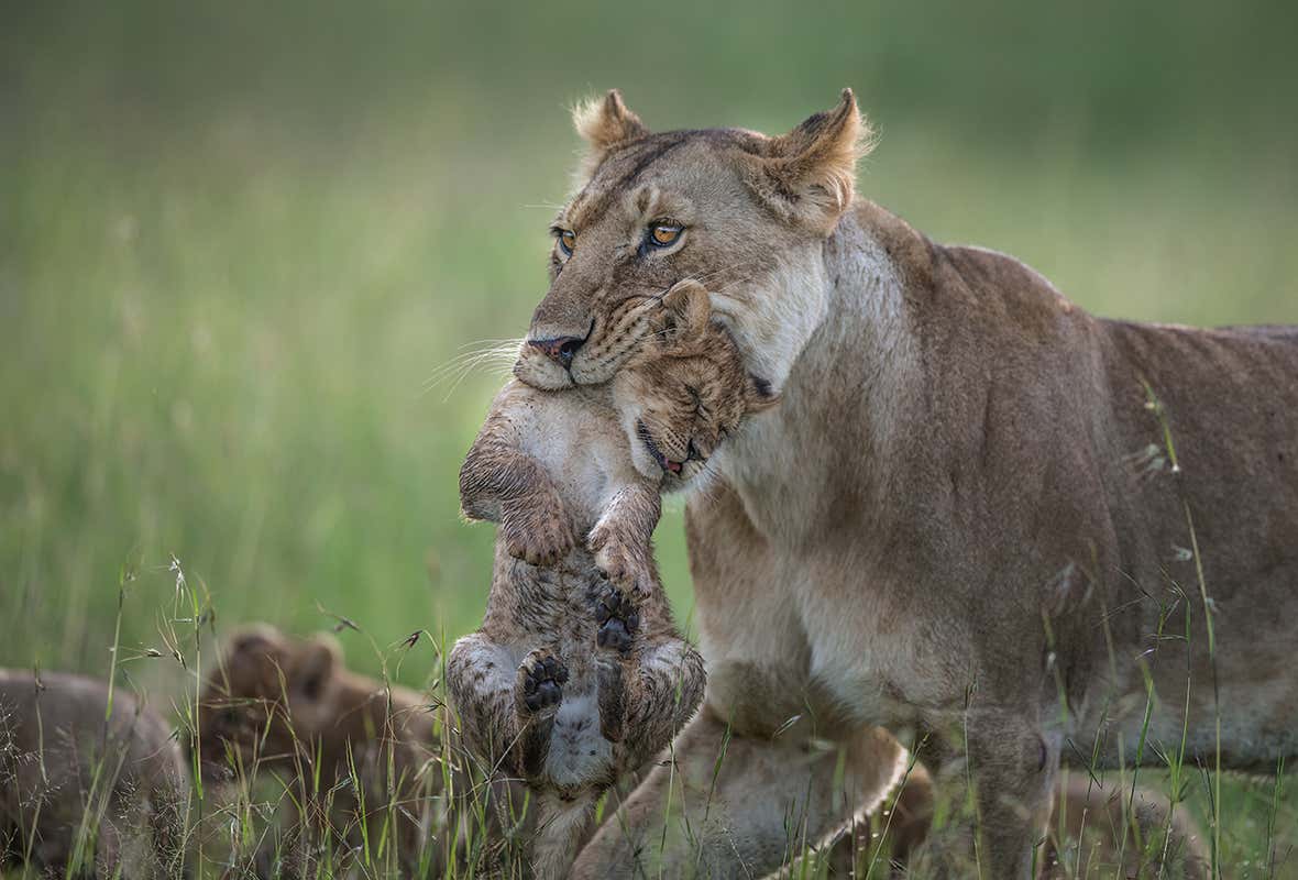 New Scientist. Science news and long reads from expert journalists, covering developments in science, technology, health and the environment on the website and the magazine.