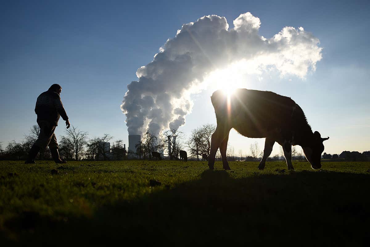 What does net zero emissions really mean?