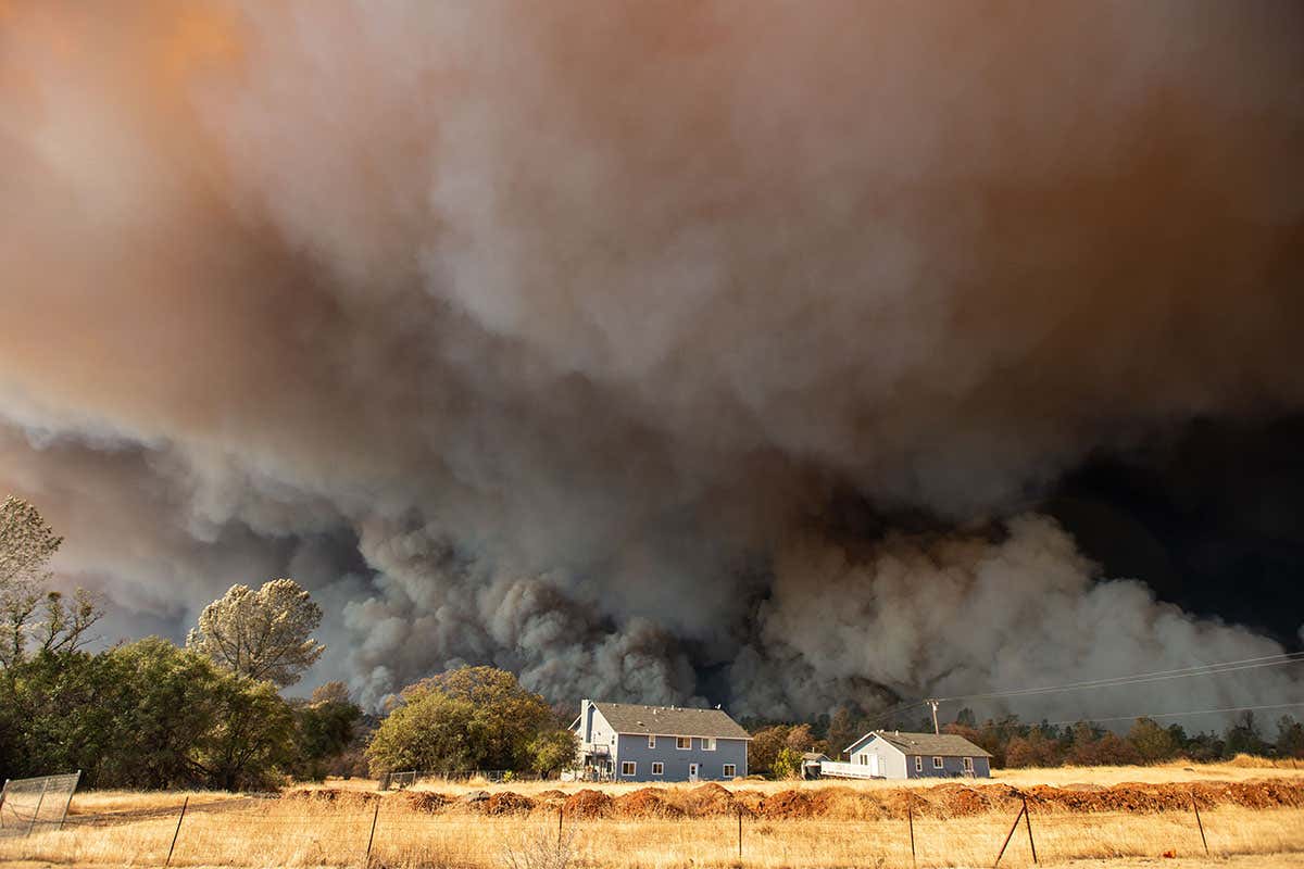 Fire safety app simulates wildfires and shows a route to avoid them