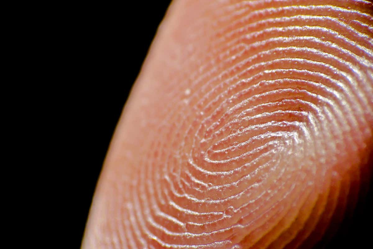 fingerprint