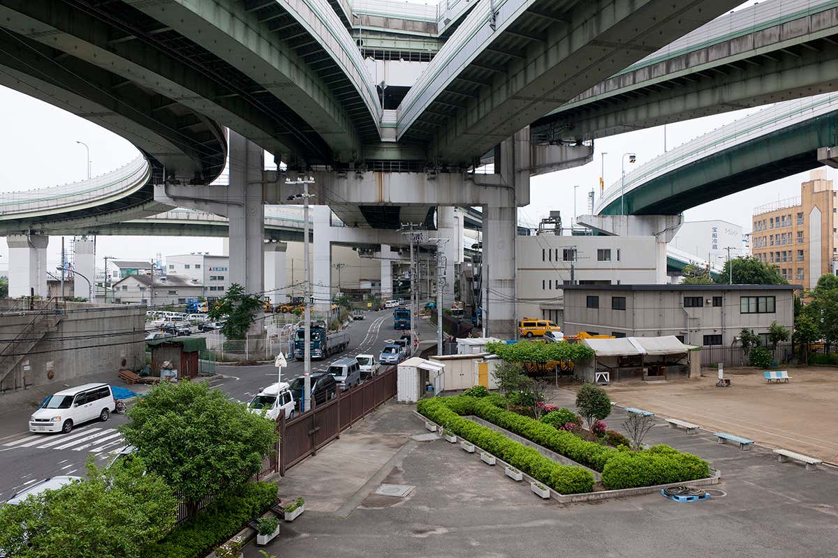 New Scientist. Science news and long reads from expert journalists, covering developments in science, technology, health and the environment on the website and the magazine.