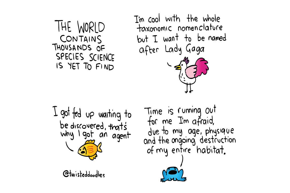 Twisteddoodles on the thousands of species science is yet to find