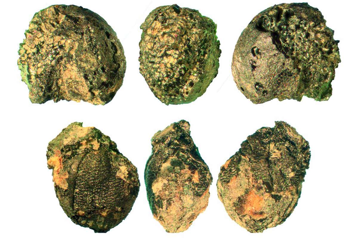 Bronze Age miners had cooked meals delivered to their workplace