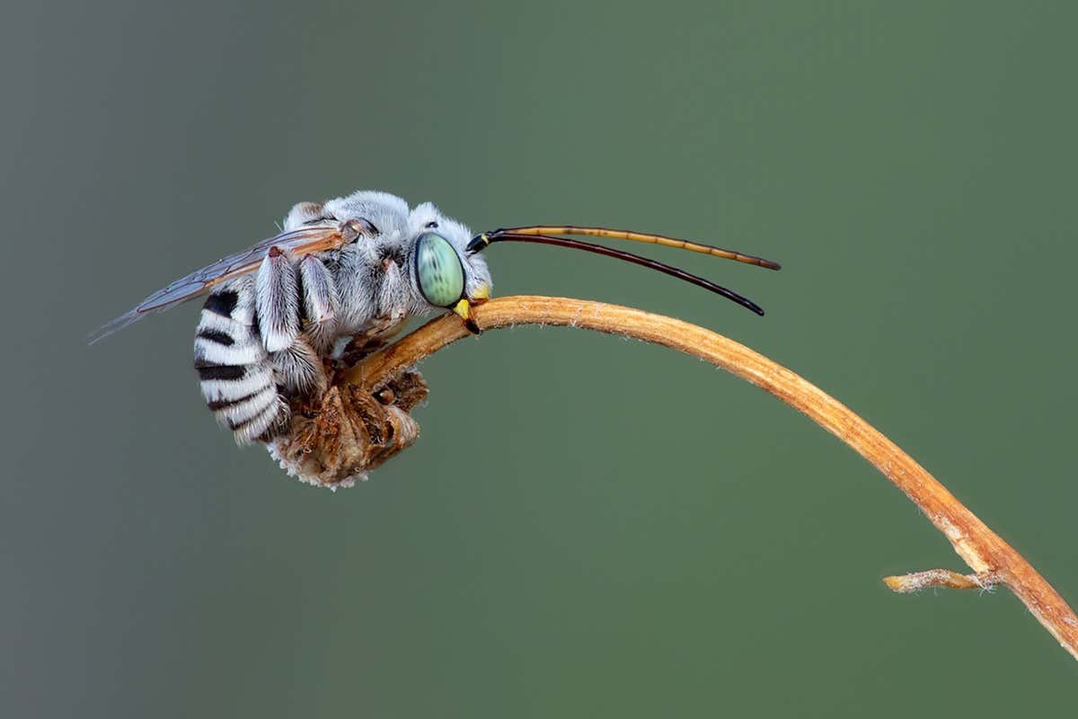 New Scientist. Science news and long reads from expert journalists, covering developments in science, technology, health and the environment on the website and the magazine.