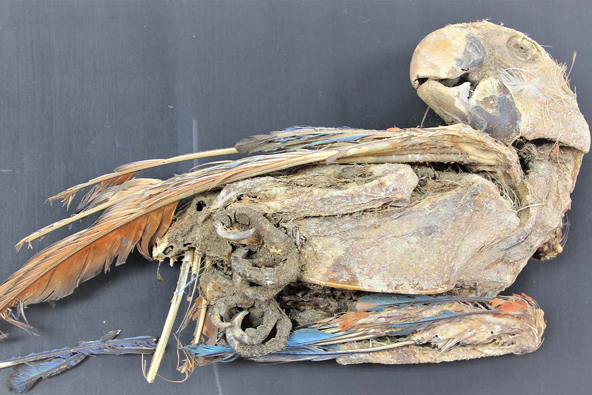 New Scientist. Science news and long reads from expert journalists, covering developments in science, technology, health and the environment on the website and the magazine.