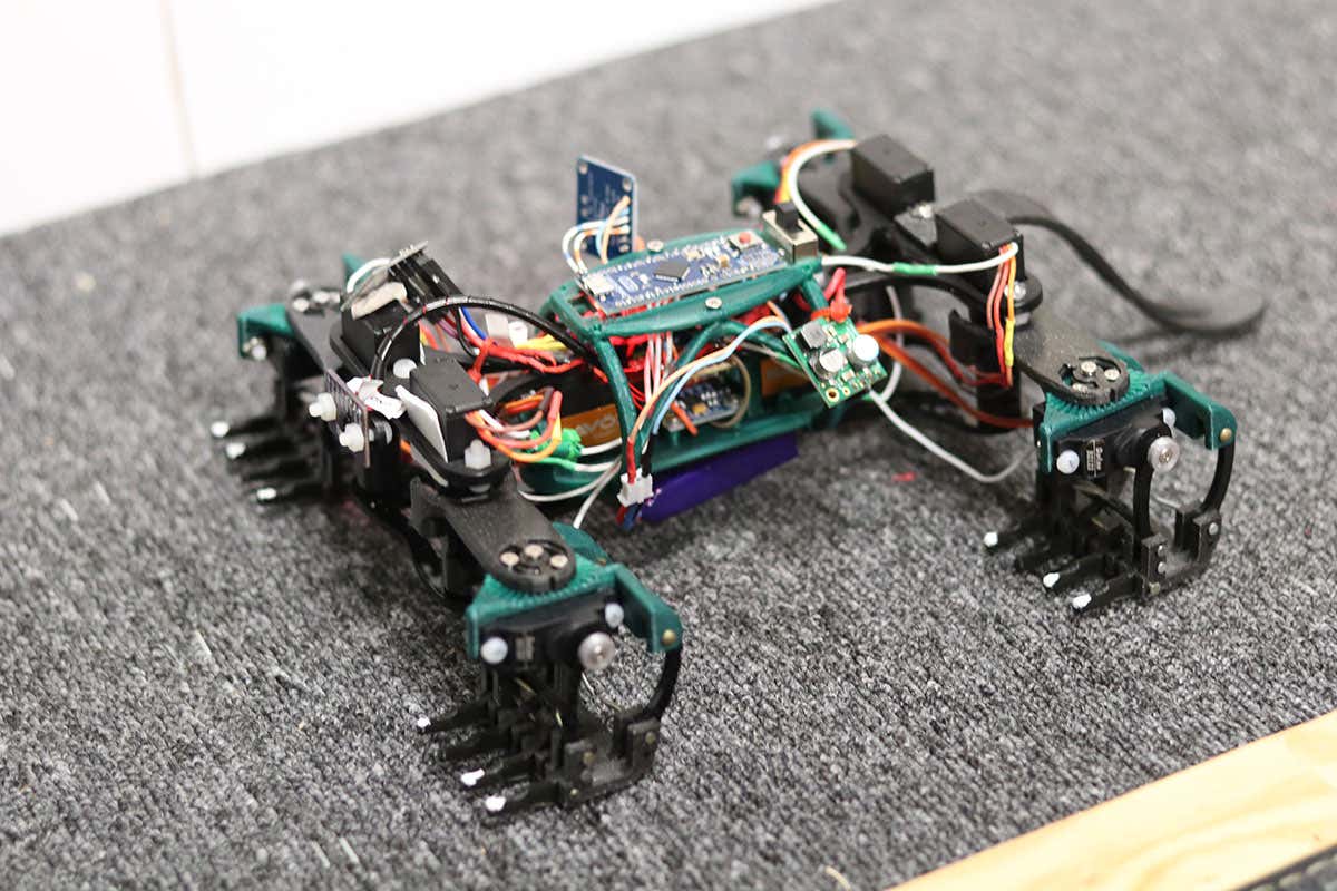 Robot lizard can quickly climb a wall just like the real thing