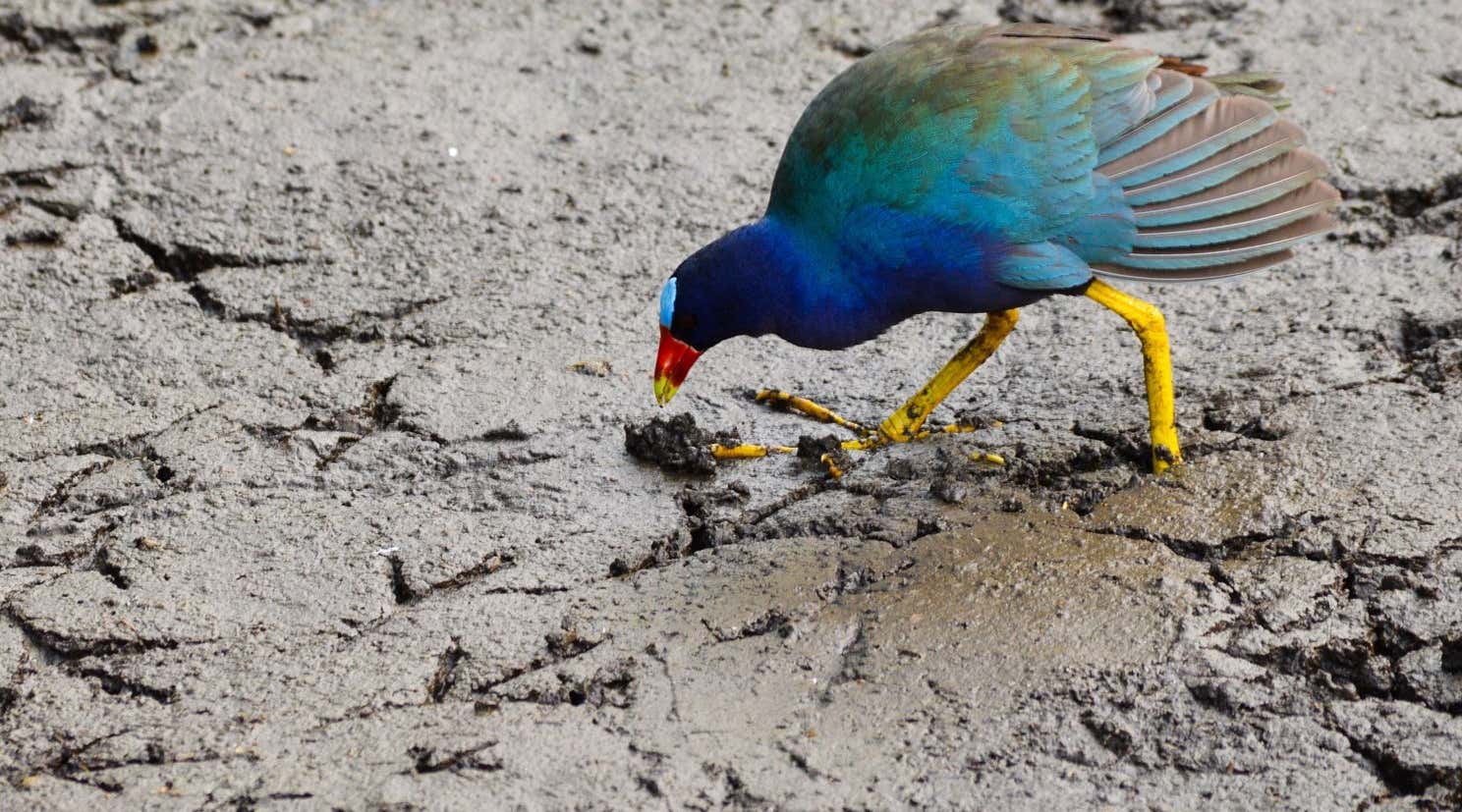 New Scientist. Science news and long reads from expert journalists, covering developments in science, technology, health and the environment on the website and the magazine.