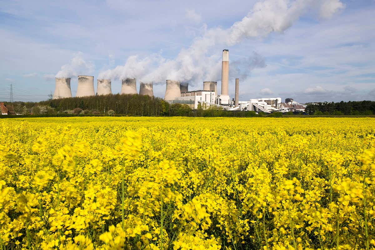 New Scientist. Science news and long reads from expert journalists, covering developments in science, technology, health and the environment on the website and the magazine.