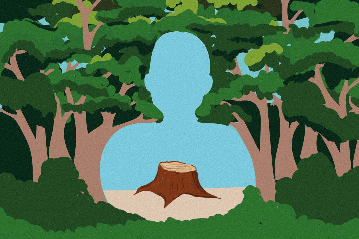 Global tree loss is undermining tactics to address the climate crisis