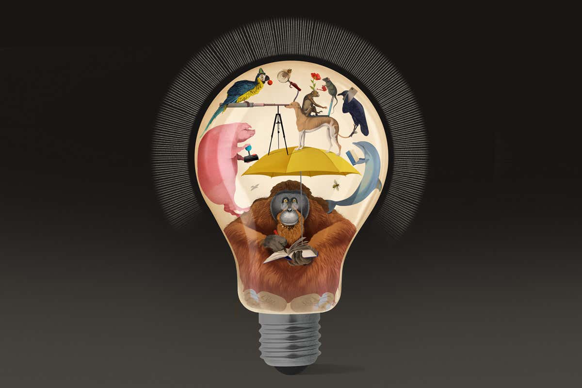 New Scientist. Science news and long reads from expert journalists, covering developments in science, technology, health and the environment on the website and the magazine.