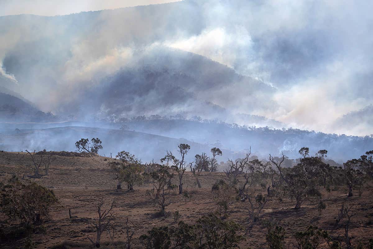 Bushfires burn along a mountainside in New South Wales, Australia