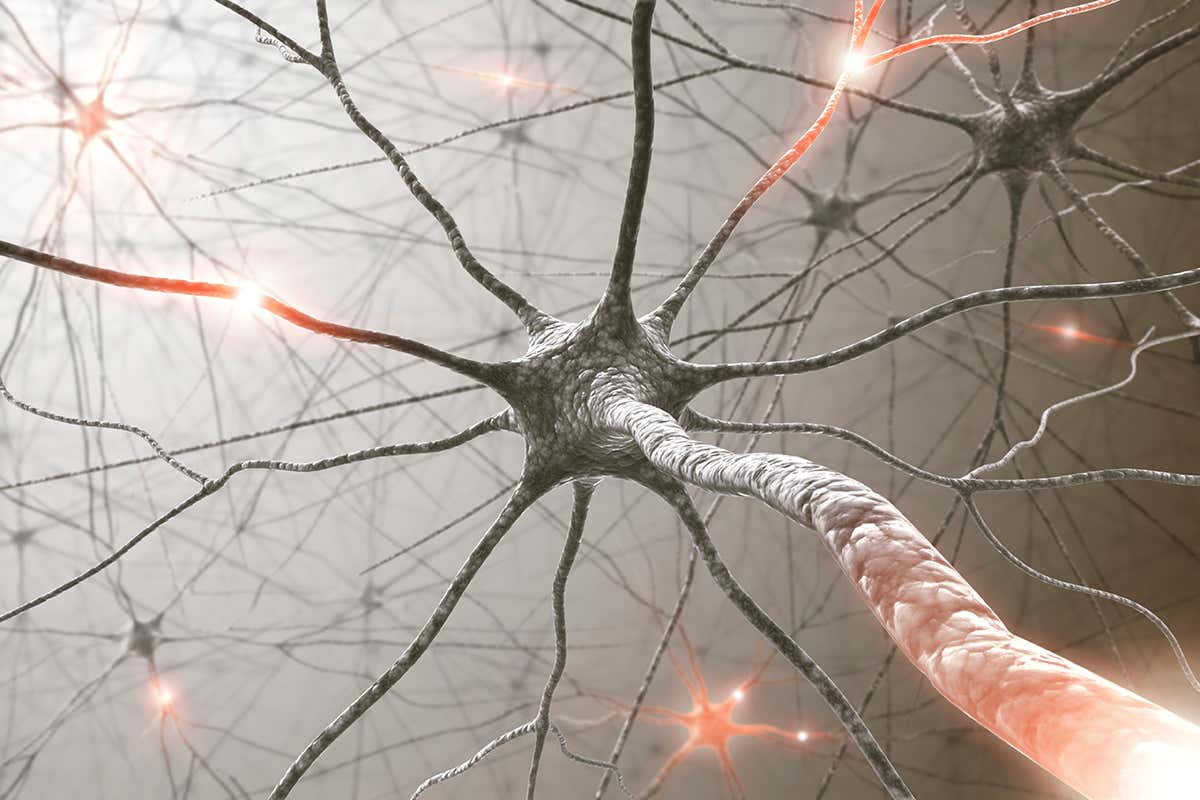 An artist's impression of neurons