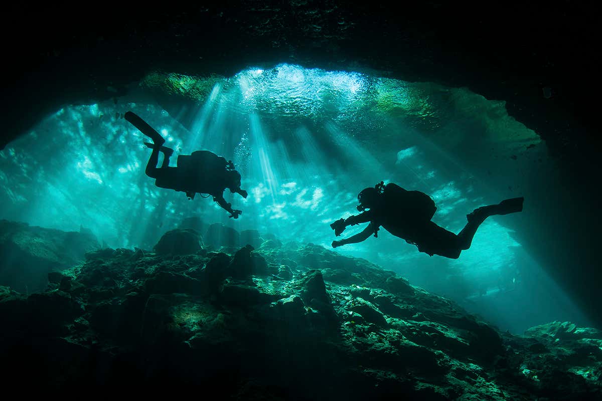 New Scientist. Science news and long reads from expert journalists, covering developments in science, technology, health and the environment on the website and the magazine.