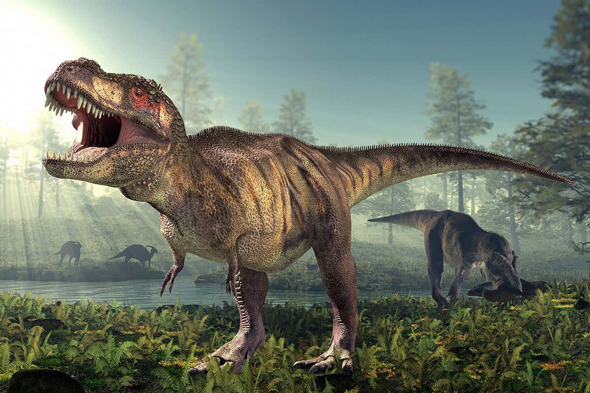 Tyrannosaurus rex