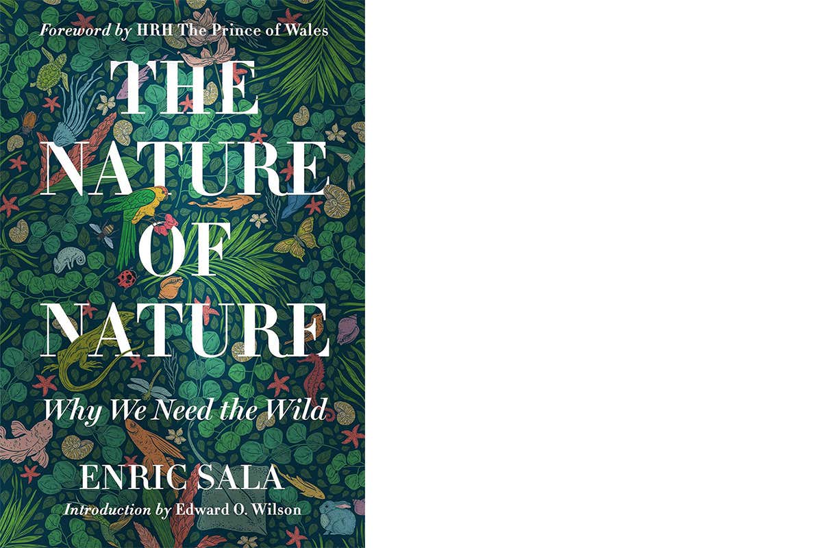 New Scientist. Science news and long reads from expert journalists, covering developments in science, technology, health and the environment on the website and the magazine.