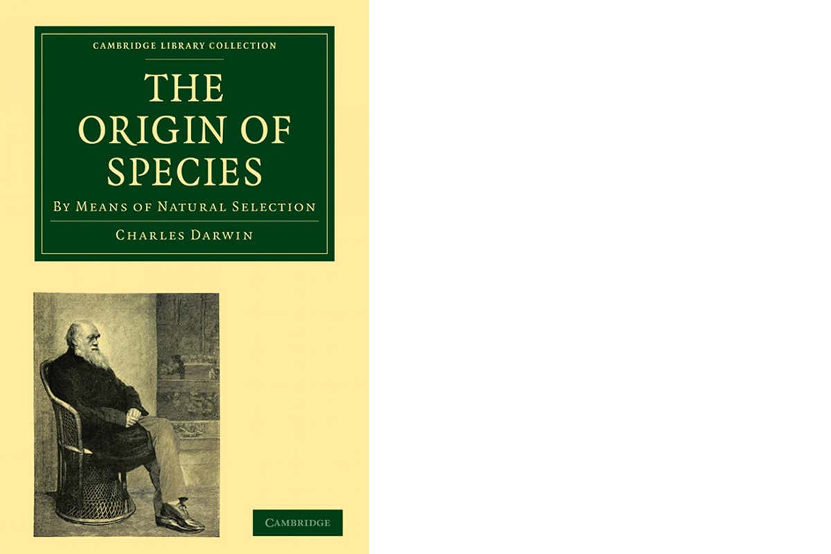 New Scientist. Science news and long reads from expert journalists, covering developments in science, technology, health and the environment on the website and the magazine.