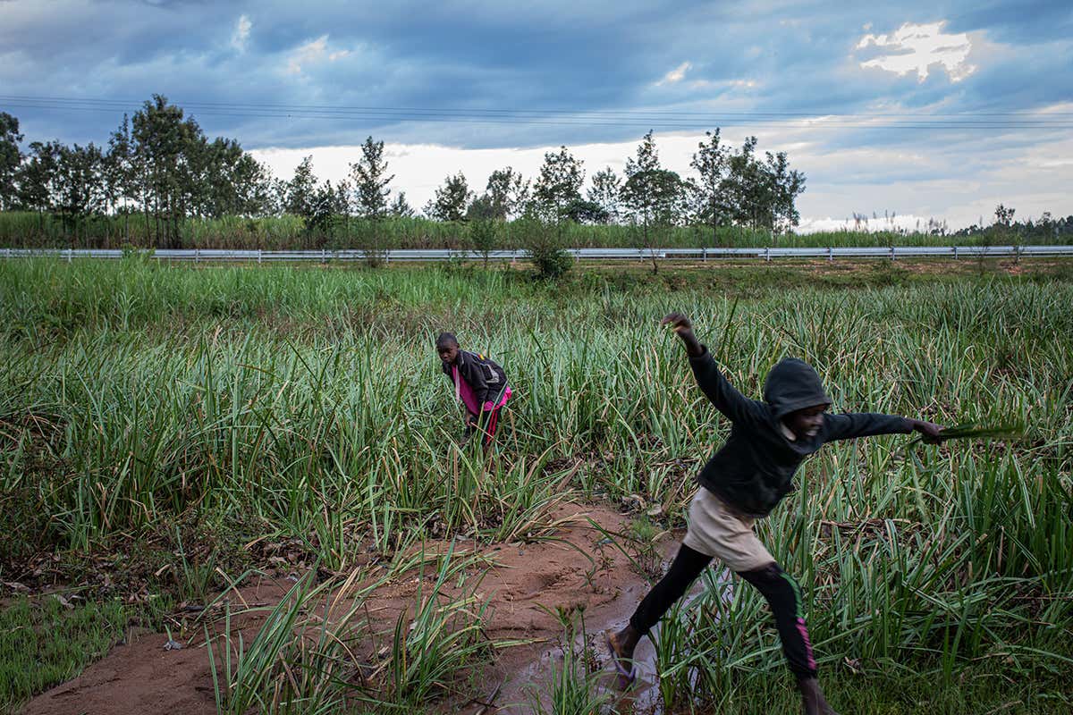 New Scientist. Science news and long reads from expert journalists, covering developments in science, technology, health and the environment on the website and the magazine.