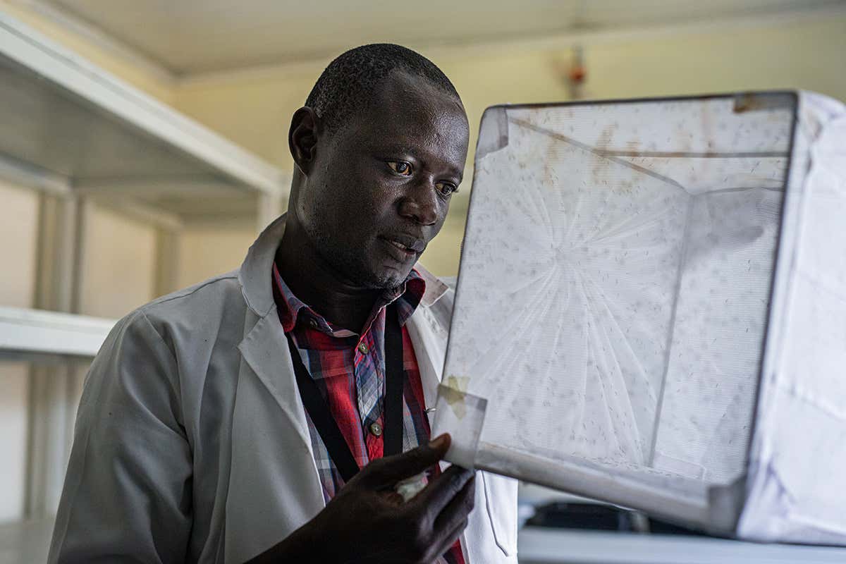 New Scientist. Science news and long reads from expert journalists, covering developments in science, technology, health and the environment on the website and the magazine.