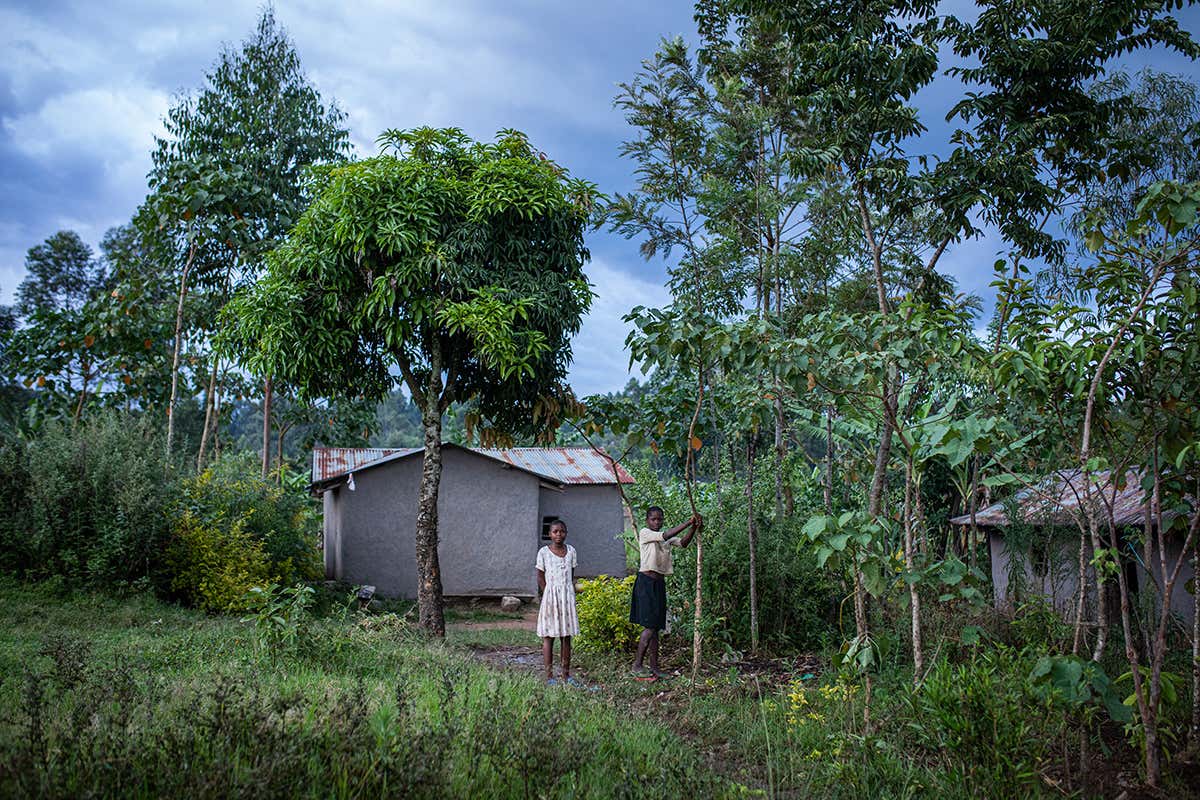 New Scientist. Science news and long reads from expert journalists, covering developments in science, technology, health and the environment on the website and the magazine.