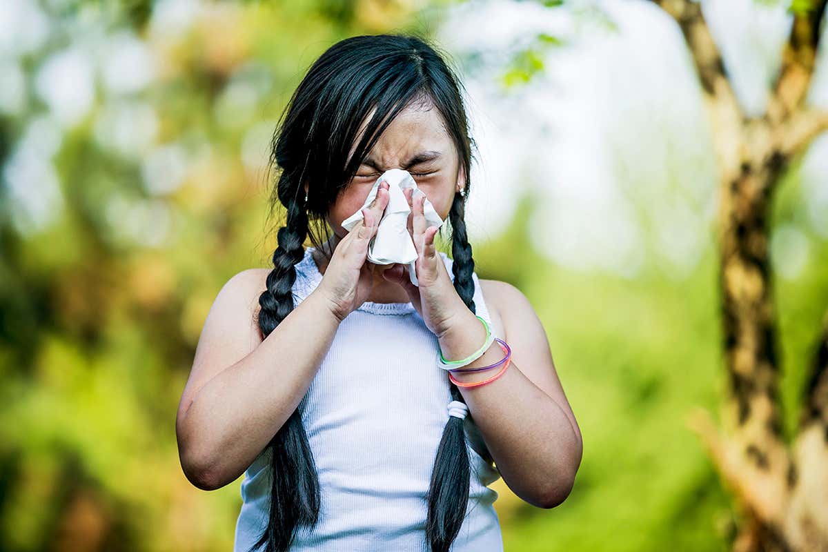 Allergies are on the rise – here's how to help scientists find out why