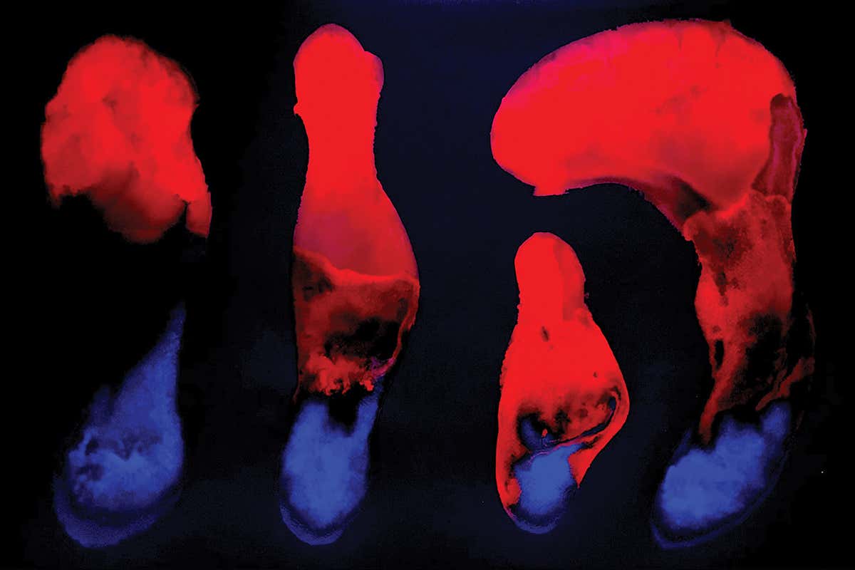 New Scientist. Science news and long reads from expert journalists, covering developments in science, technology, health and the environment on the website and the magazine.