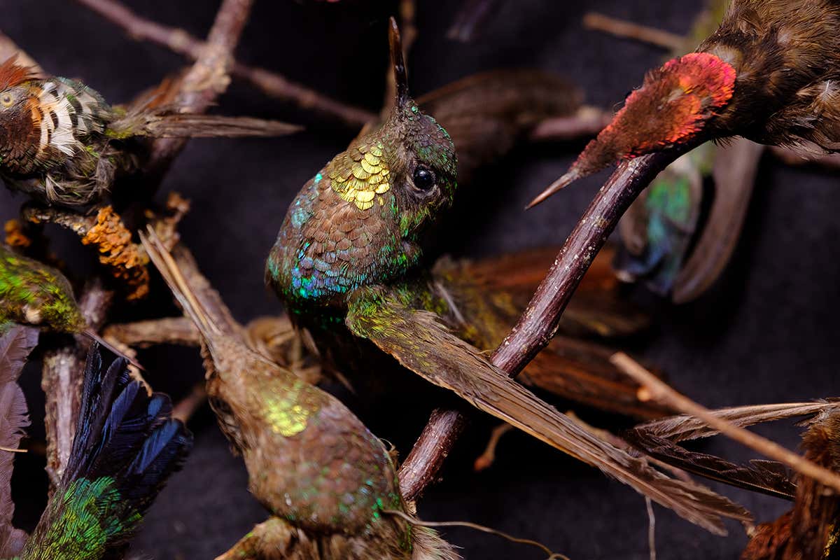 New Scientist. Science news and long reads from expert journalists, covering developments in science, technology, health and the environment on the website and the magazine.