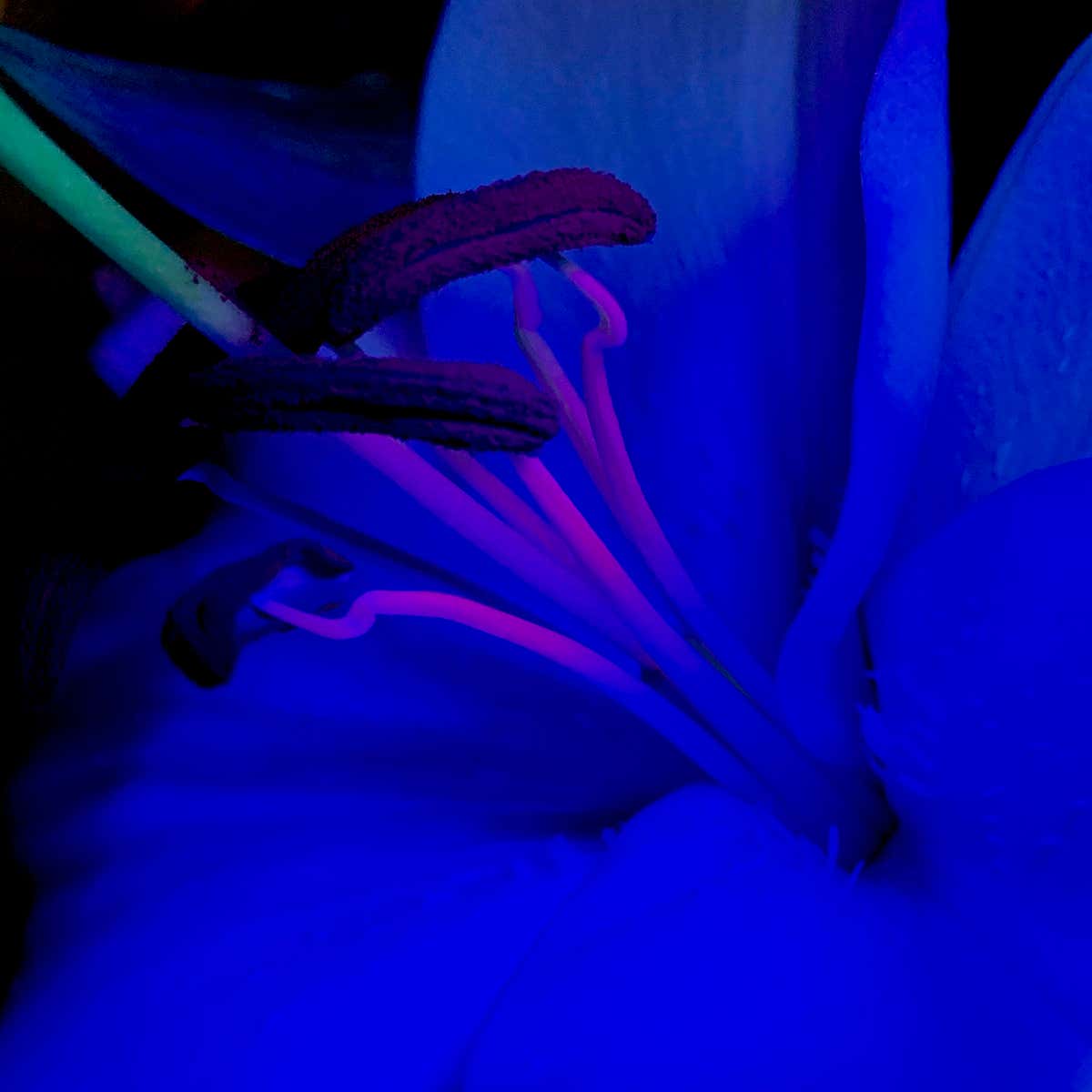 New Scientist. Science news and long reads from expert journalists, covering developments in science, technology, health and the environment on the website and the magazine.