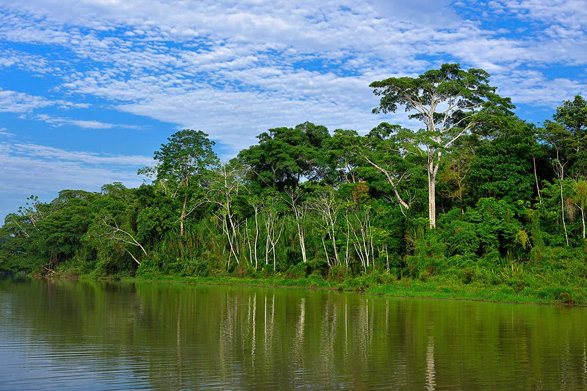 Indigenous people may have left the Amazon before Europeans arrived