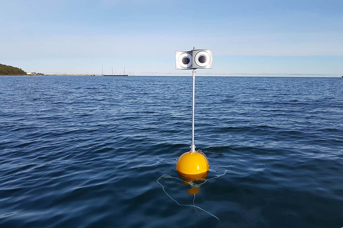 buoy with eyes