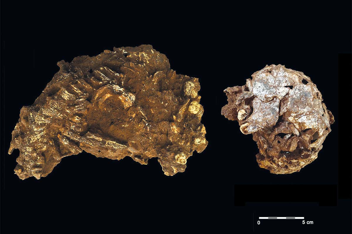 Remains of a 3-year-old child are the oldest known burial in Africa