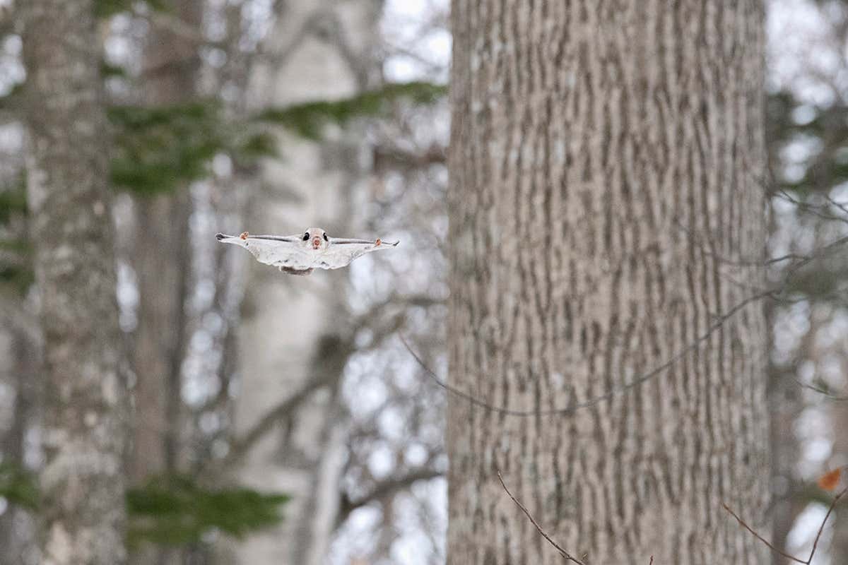 New Scientist. Science news and long reads from expert journalists, covering developments in science, technology, health and the environment on the website and the magazine.