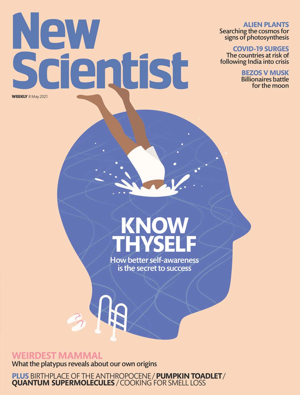 New Scientist issue 3333 cover