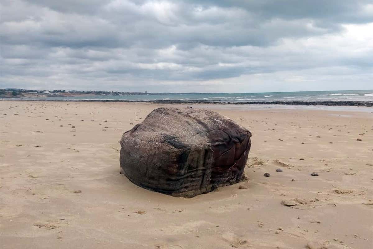 Rubber slabs washed up in Brazil traced to second world war shipwreck