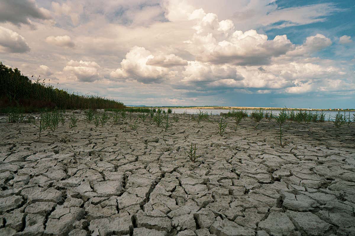 New Scientist. Science news and long reads from expert journalists, covering developments in science, technology, health and the environment on the website and the magazine.