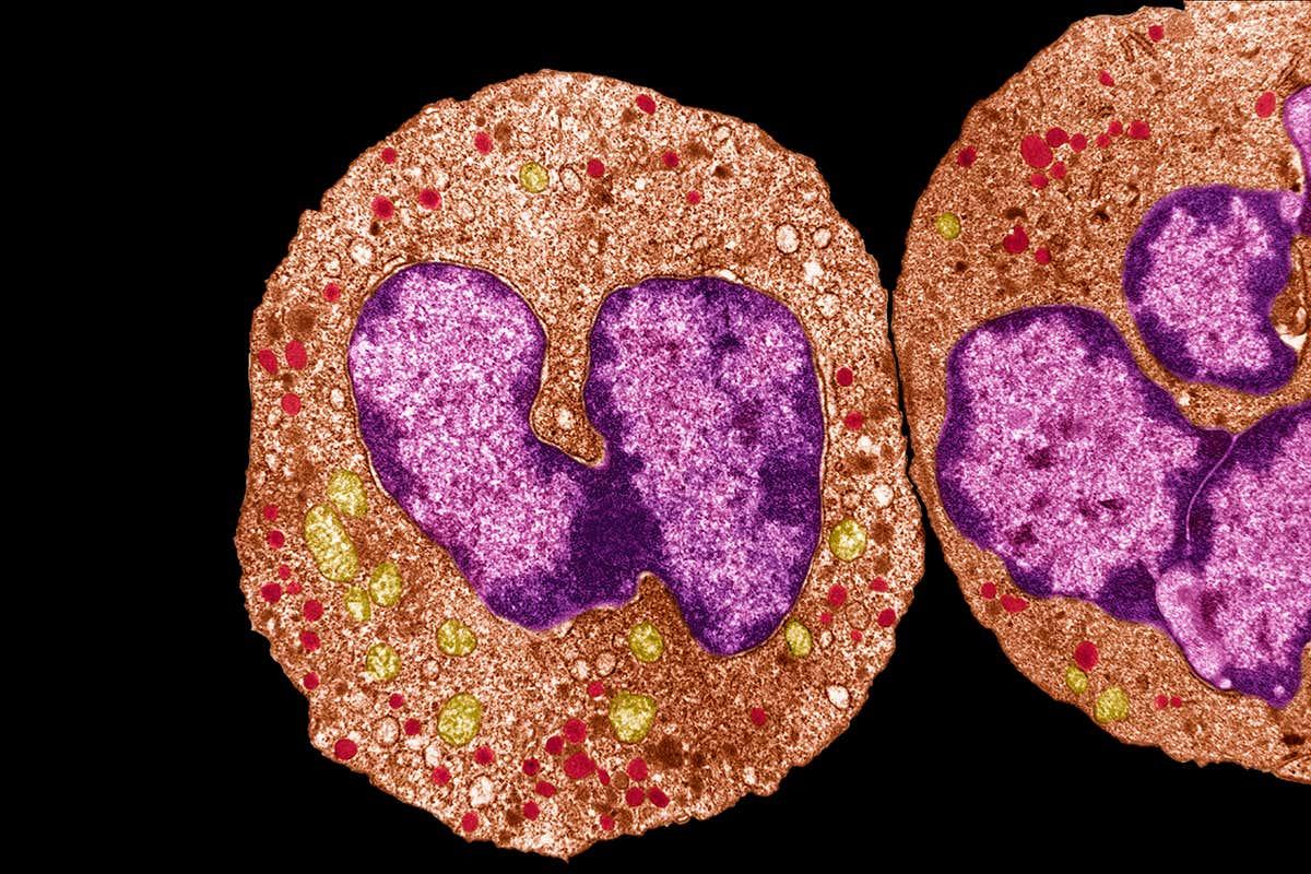 New Scientist. Science news and long reads from expert journalists, covering developments in science, technology, health and the environment on the website and the magazine.