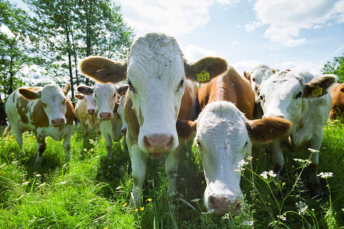 A mysterious rise in methane levels is sparking global warming fears