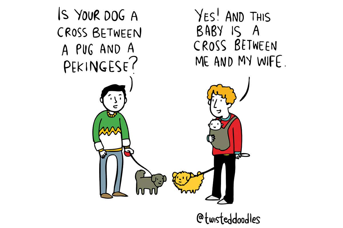Twisteddoodles: Is your dog a cross between a pug and a Pekingese?