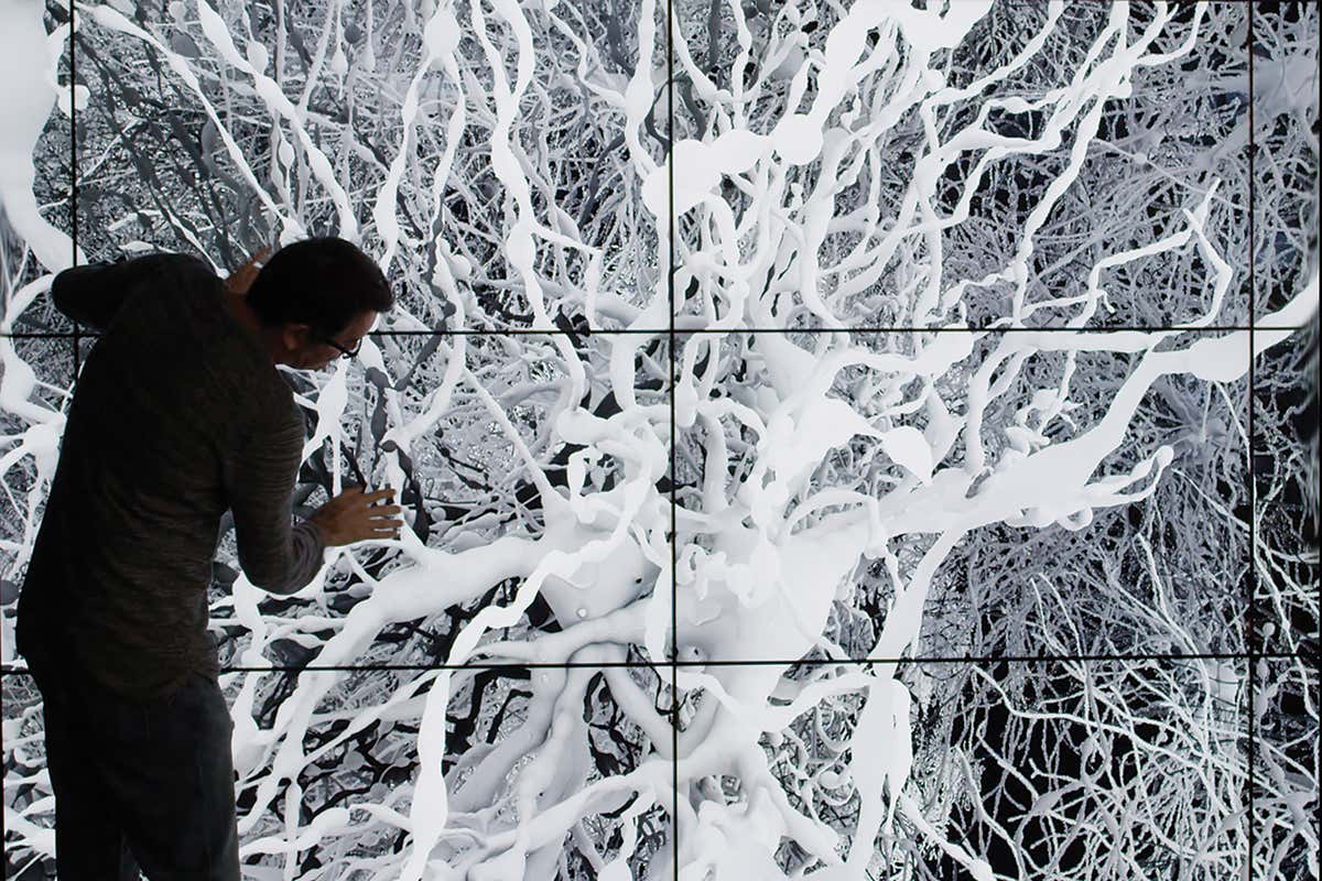 New Scientist. Science news and long reads from expert journalists, covering developments in science, technology, health and the environment on the website and the magazine.