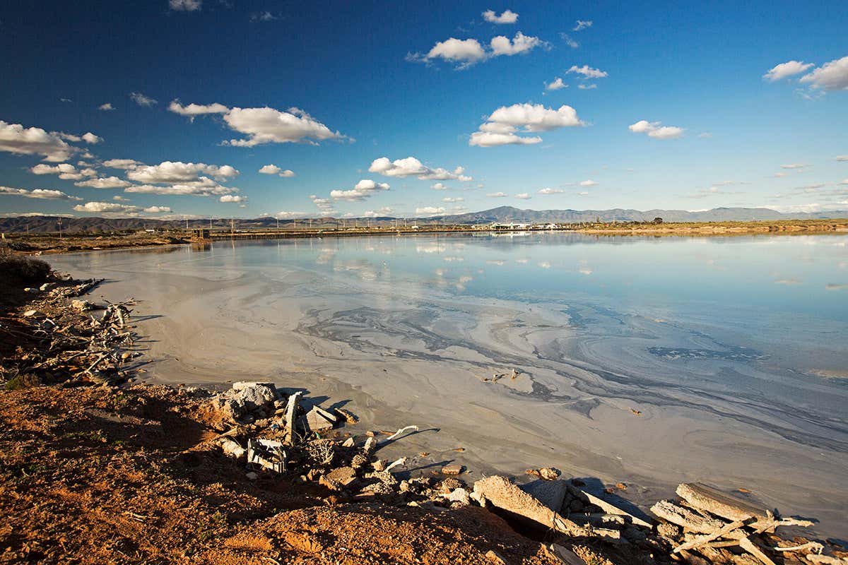 Tiny self-propelling submarines could help clean up toxic waste