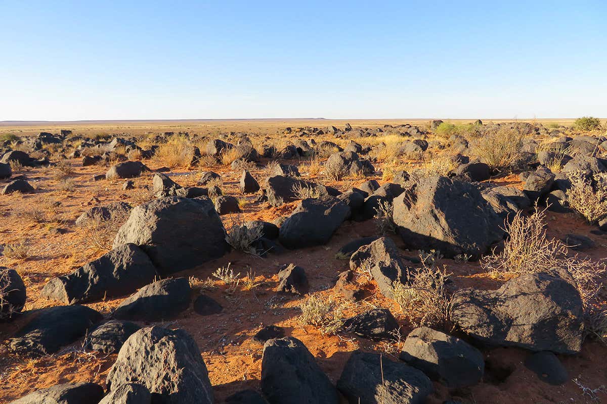 Stone Age South Africans built huge rock funnels to trap animals