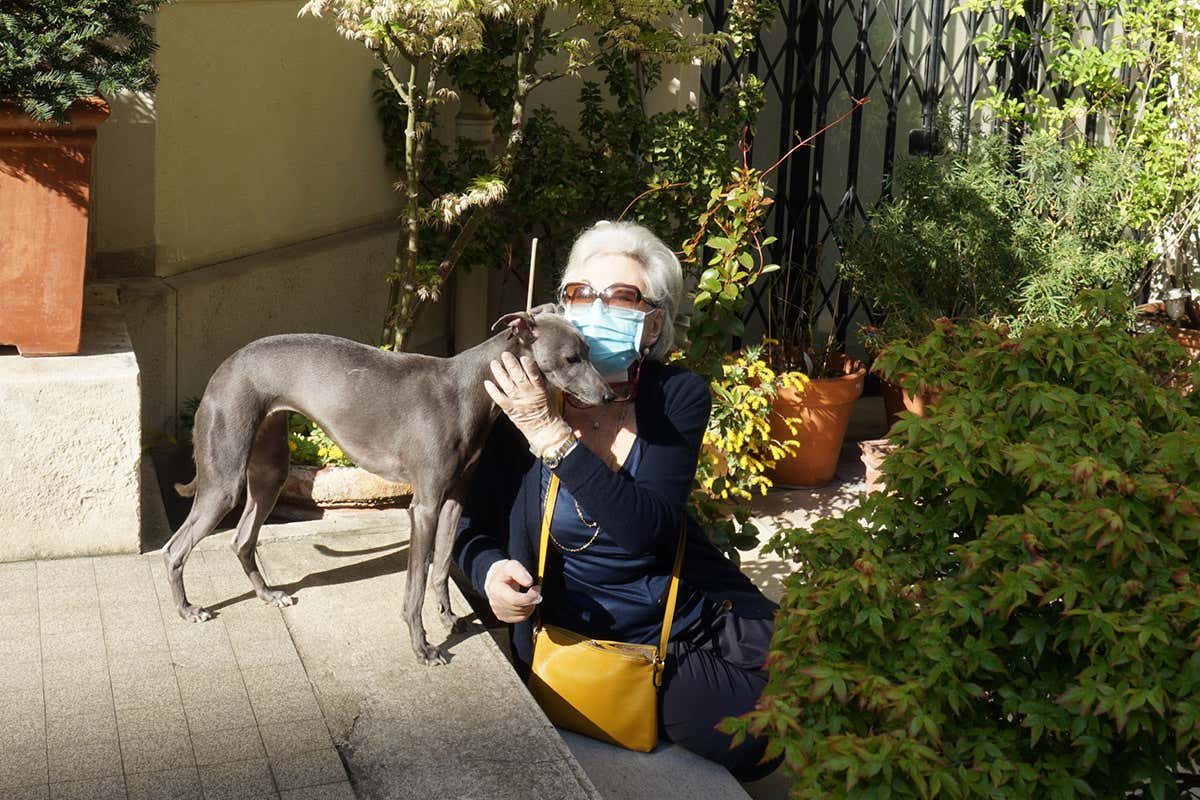 What coronaviruses in pets can teach us about the future of covid-19