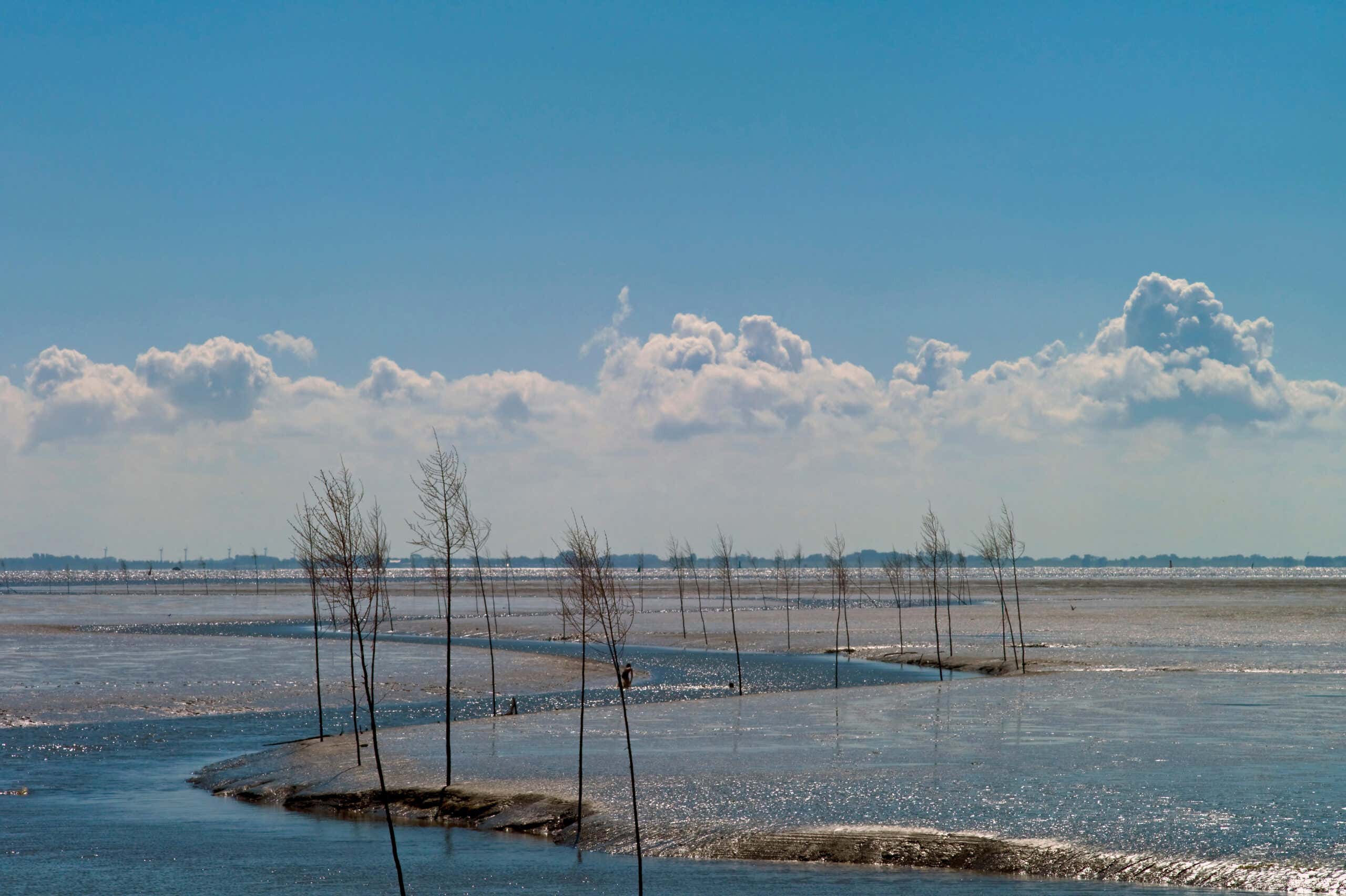 What is the smallest body of water in which tides can be detected?