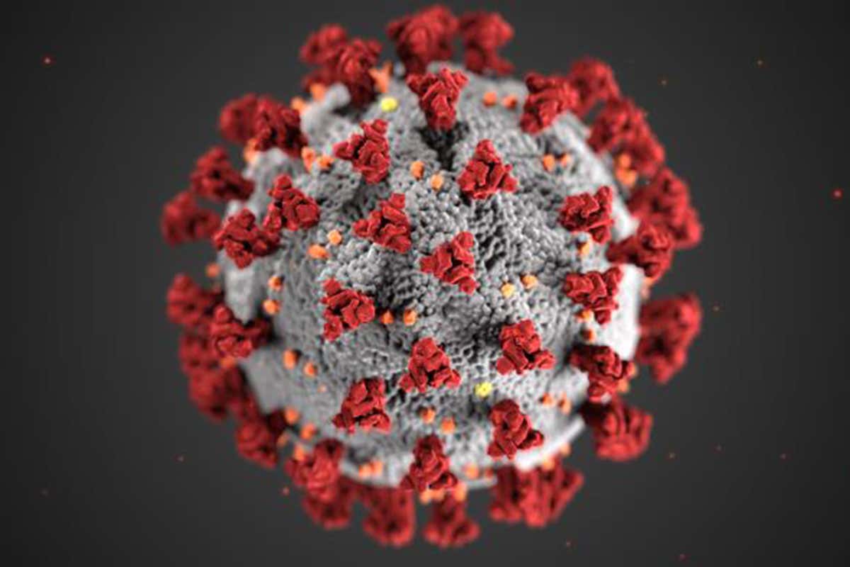 An illustration of a coronavirus