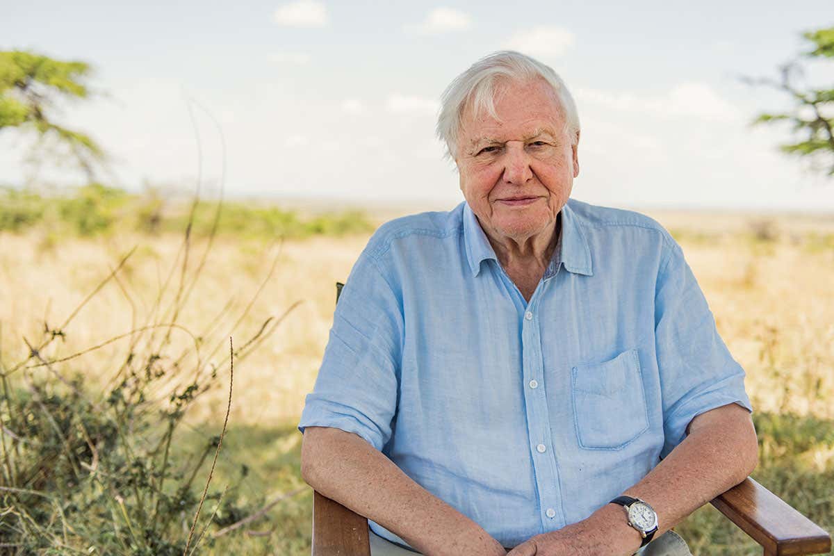 David Attenborough pictured in the Maasai Mara, Kenya